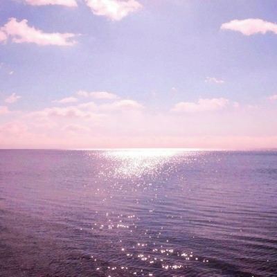 元气蛋蛋王游戏(暂未上线)v1.0 安卓最新版